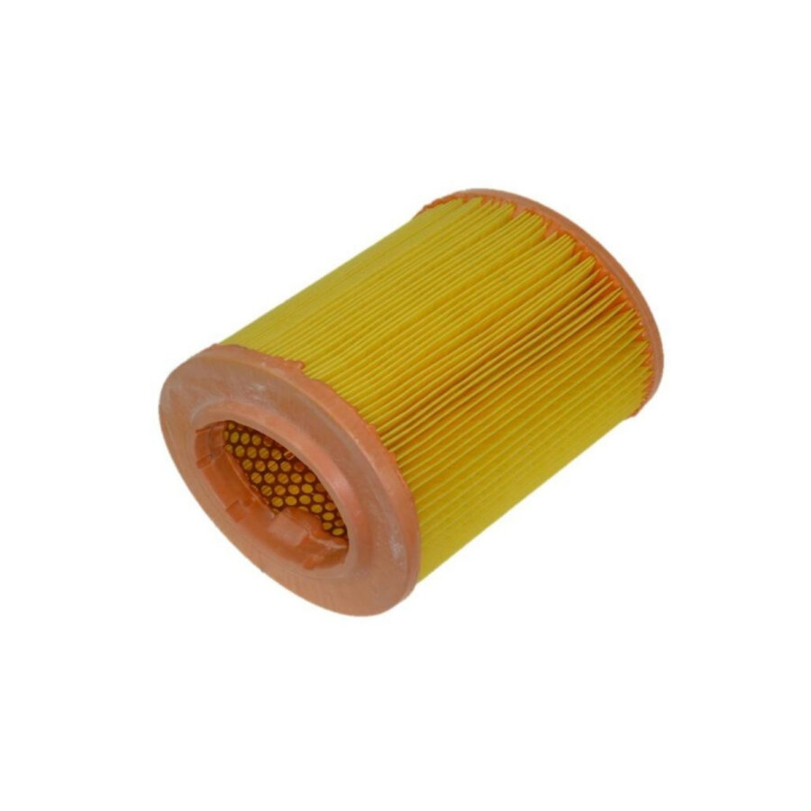 Filtro aria PURFLUX A1211