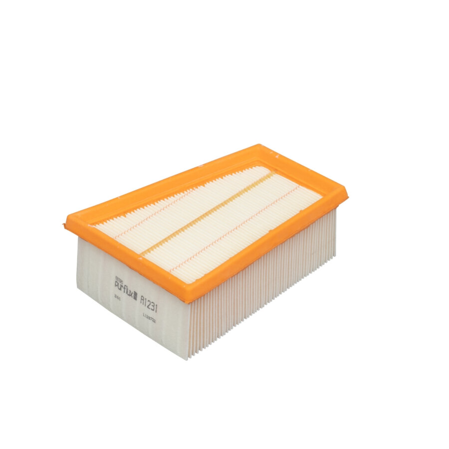 Filtro aria PURFLUX A1231