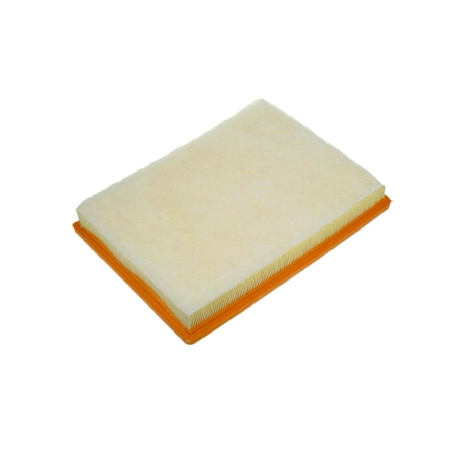 Filtro aria PURFLUX A1250