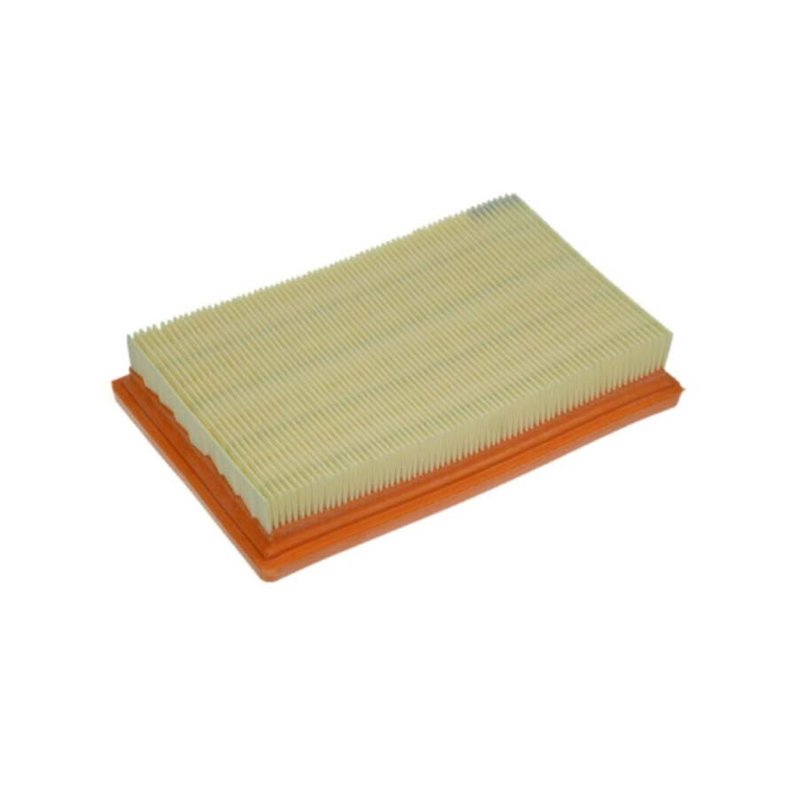 Filtro aria PURFLUX A1253