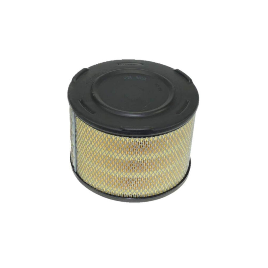 Filtro aria PURFLUX A1286
