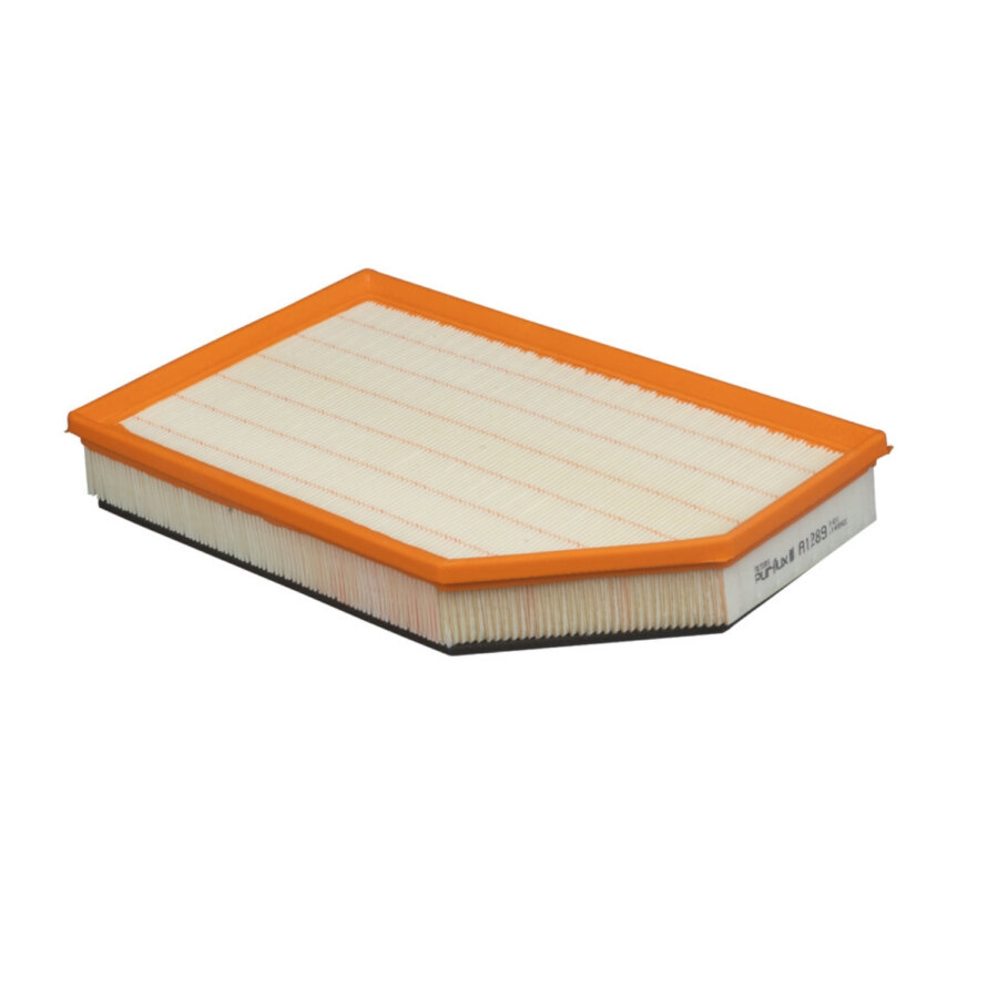 Filtro aria PURFLUX A1289