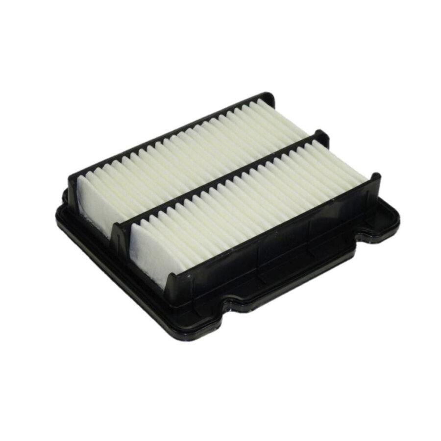 Filtro aria PURFLUX A1321