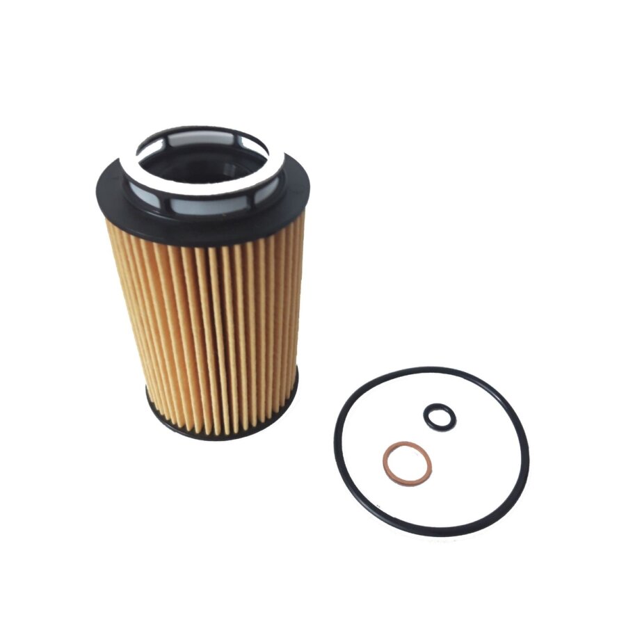 Filtro olio PURFLUX L1069
