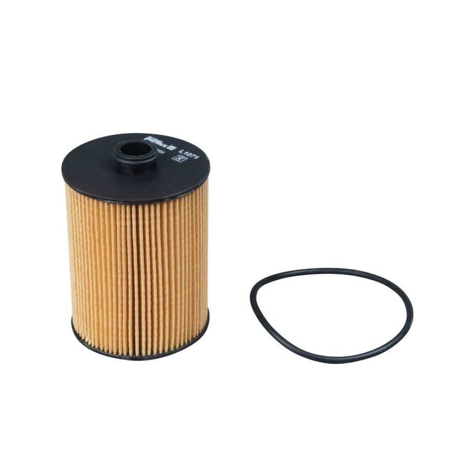 Filtro olio PURFLUX L1071