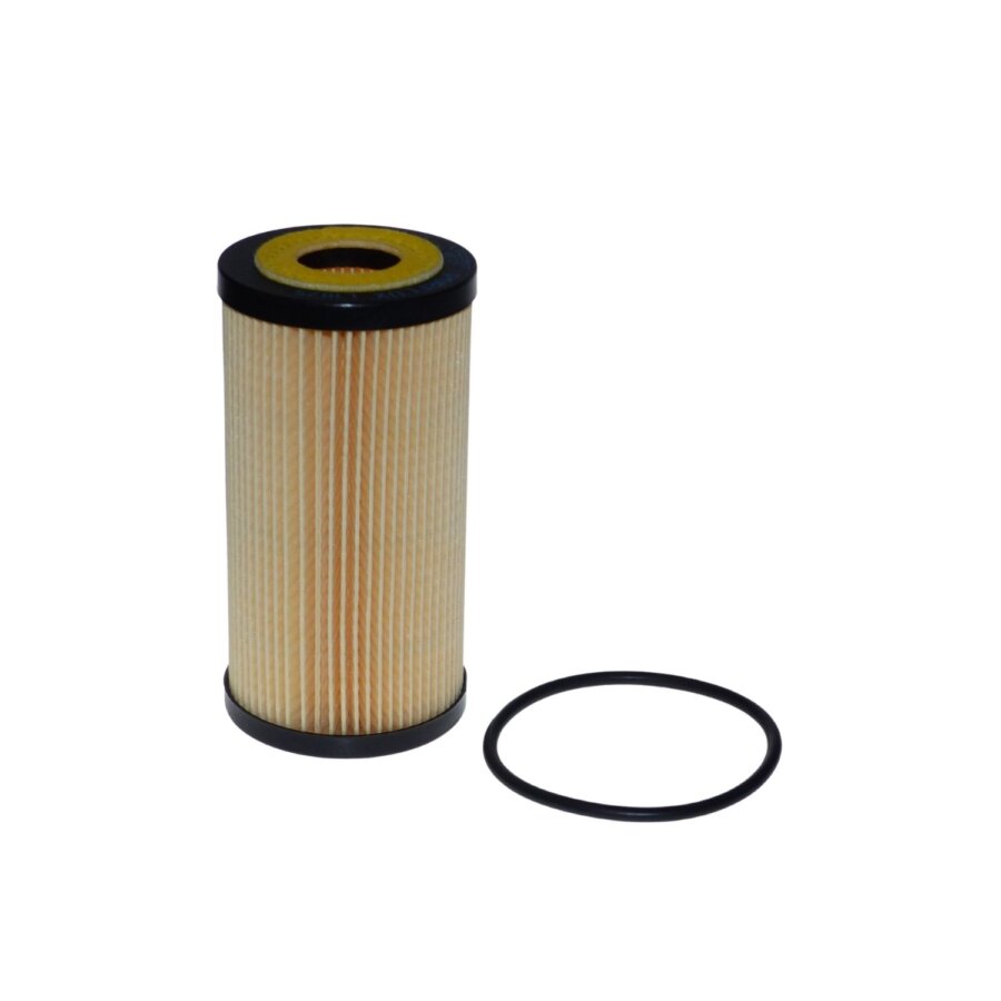 Filtro olio PURFLUX L1075