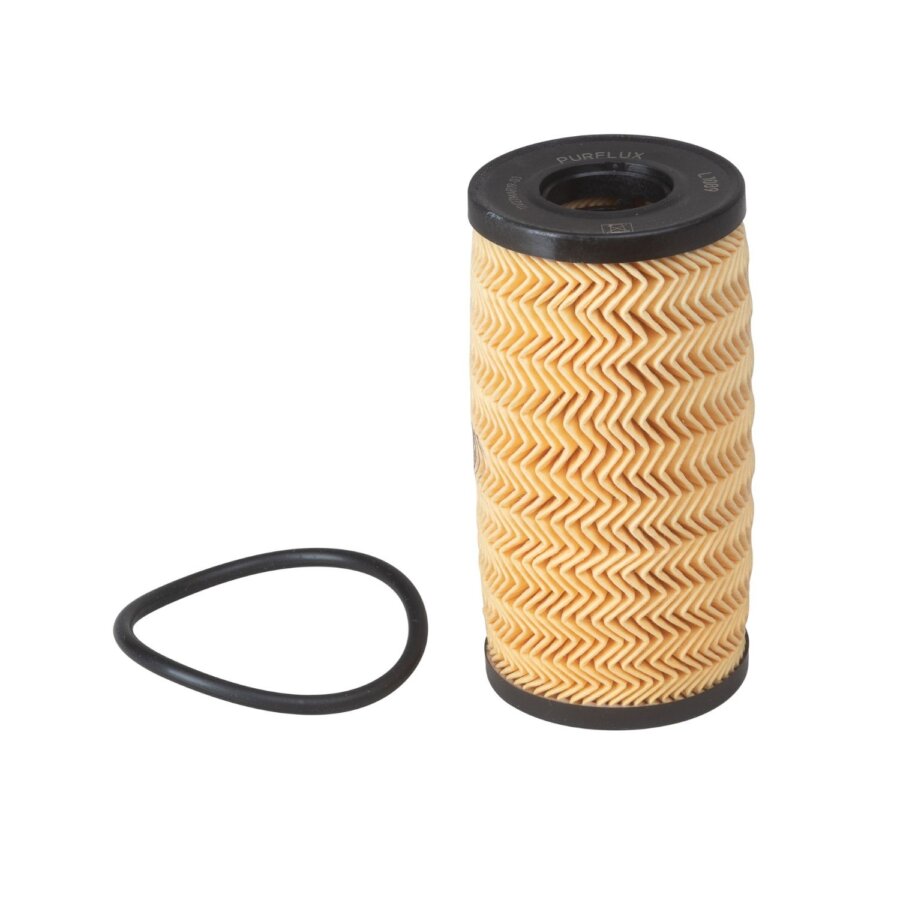 Filtro olio PURFLUX L1089