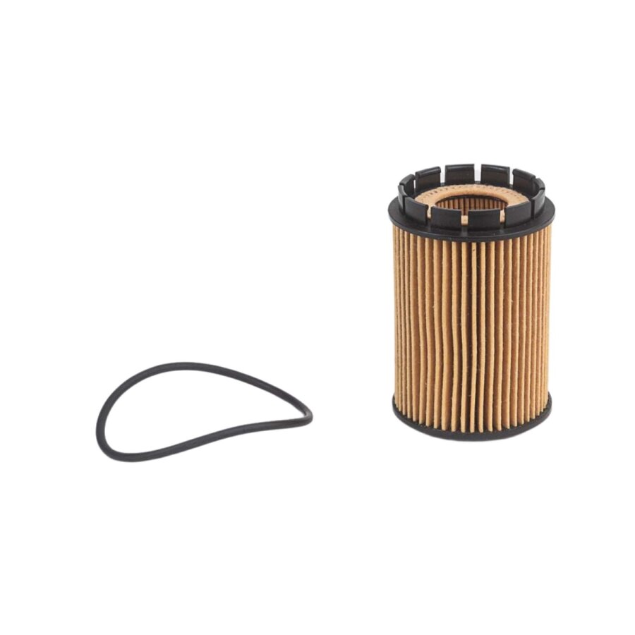 Filtro olio PURFLUX L1098