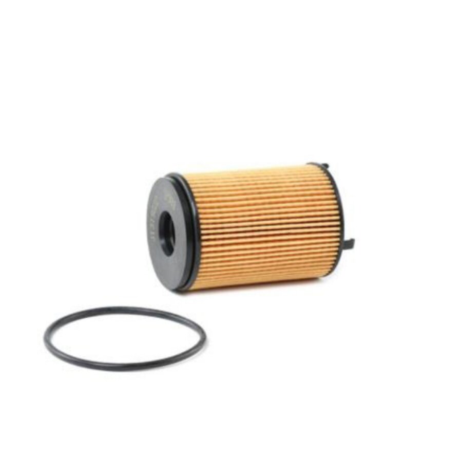 Filtro olio PURFLUX L1134