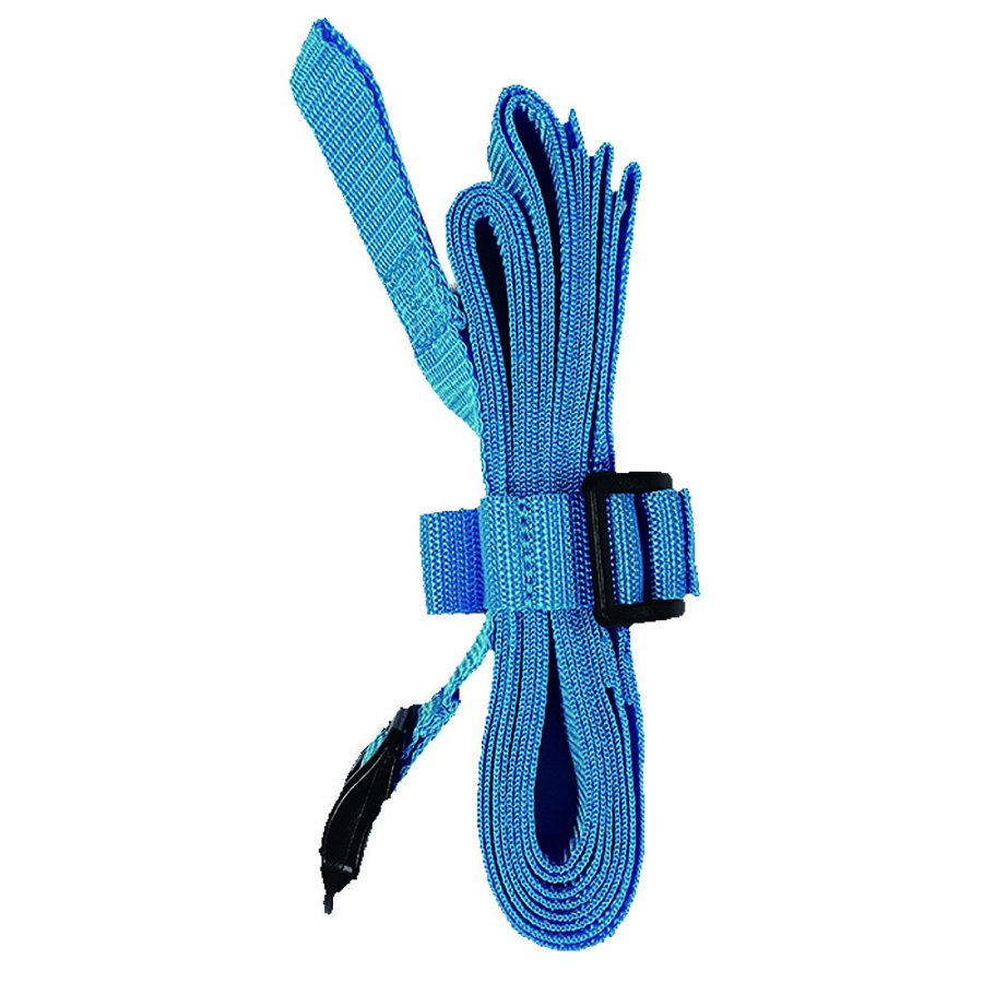 2 cinghie blu