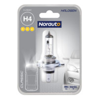 Lampadine auto, lampadine led auto - Norauto