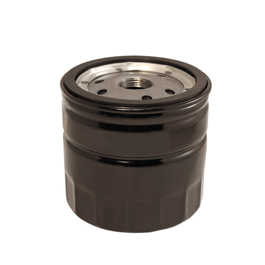 Filtro dell'olio NORAUTO referenza WL7089 numero semplificato 195