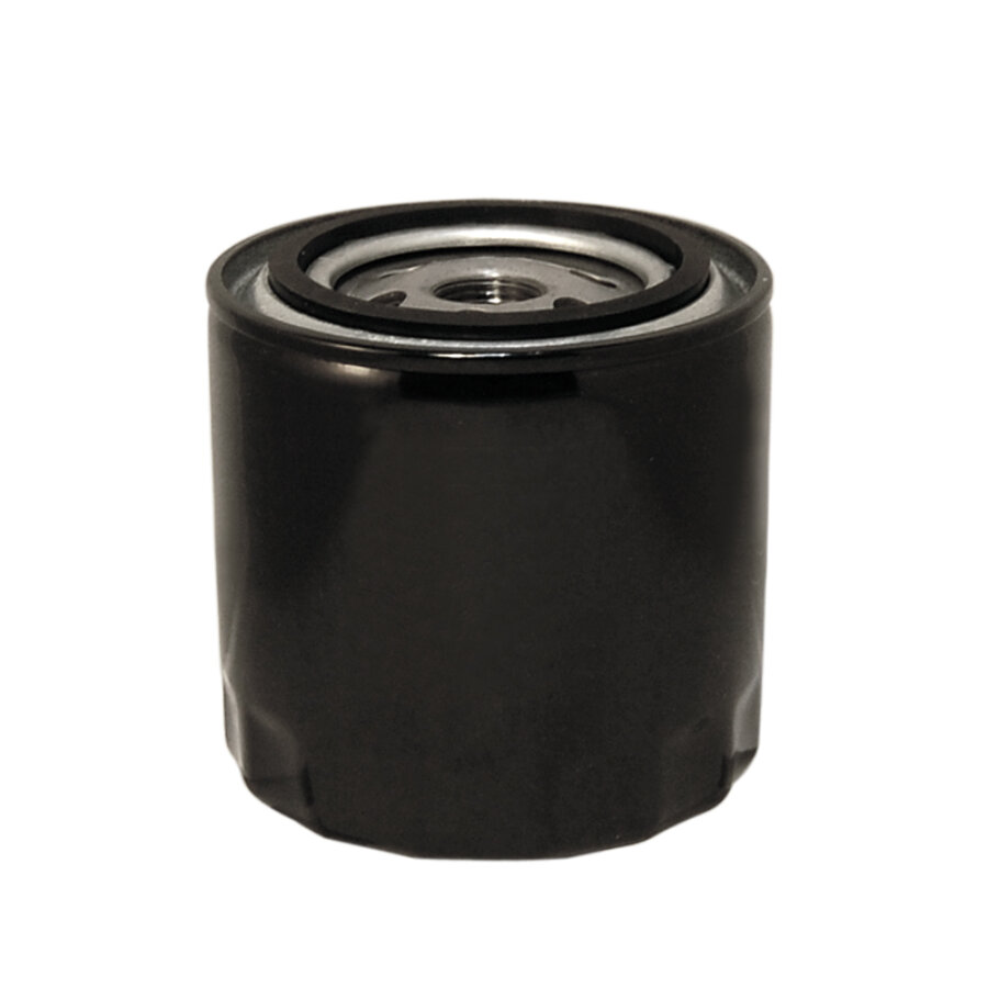 Filtro dell'olio NORAUTO referenza WL7216 numero semplificato 310