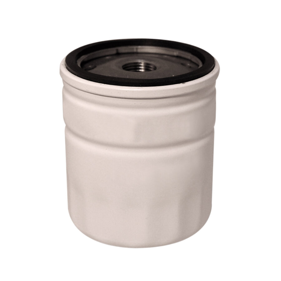 Filtro dell'olio NORAUTO referenza WL7428 numero semplificato 571