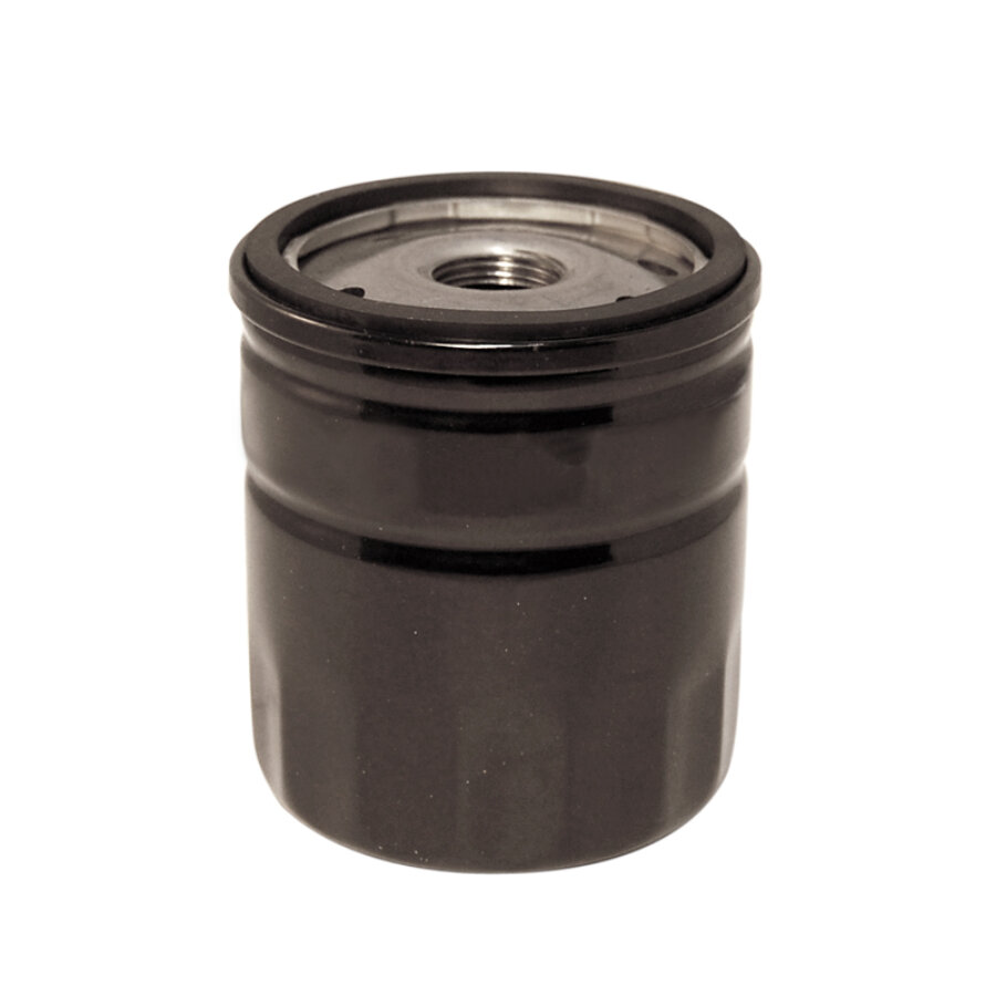 Filtro dell'olio NORAUTO referenza WL7433 numero semplificato 601