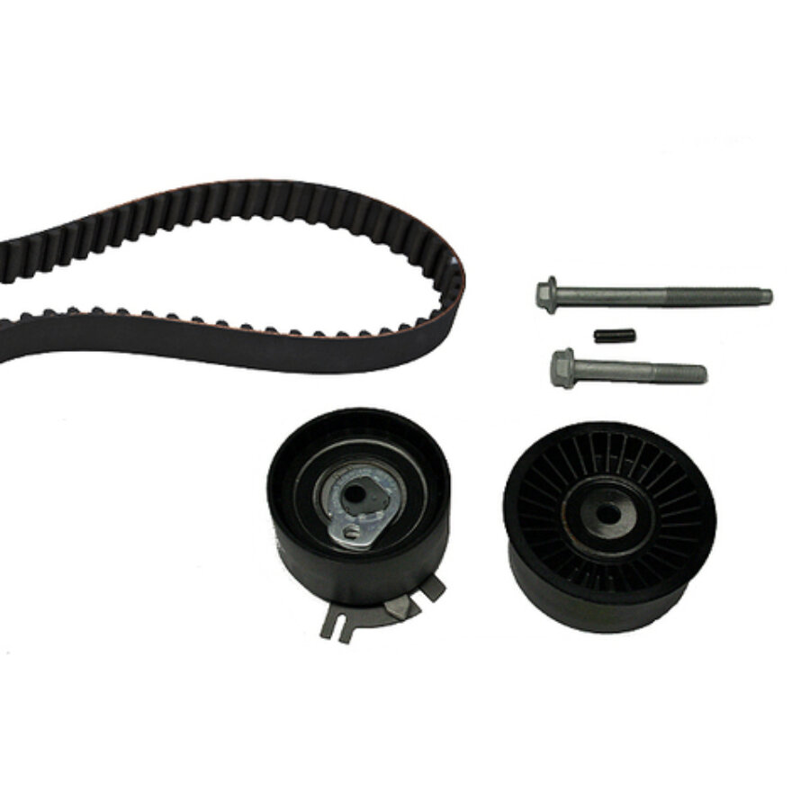 Kit distribuzione INA 530 0198 10