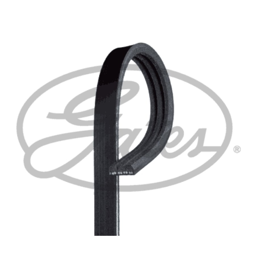 Cinghia dei servizi e accessori GATES 3PK838