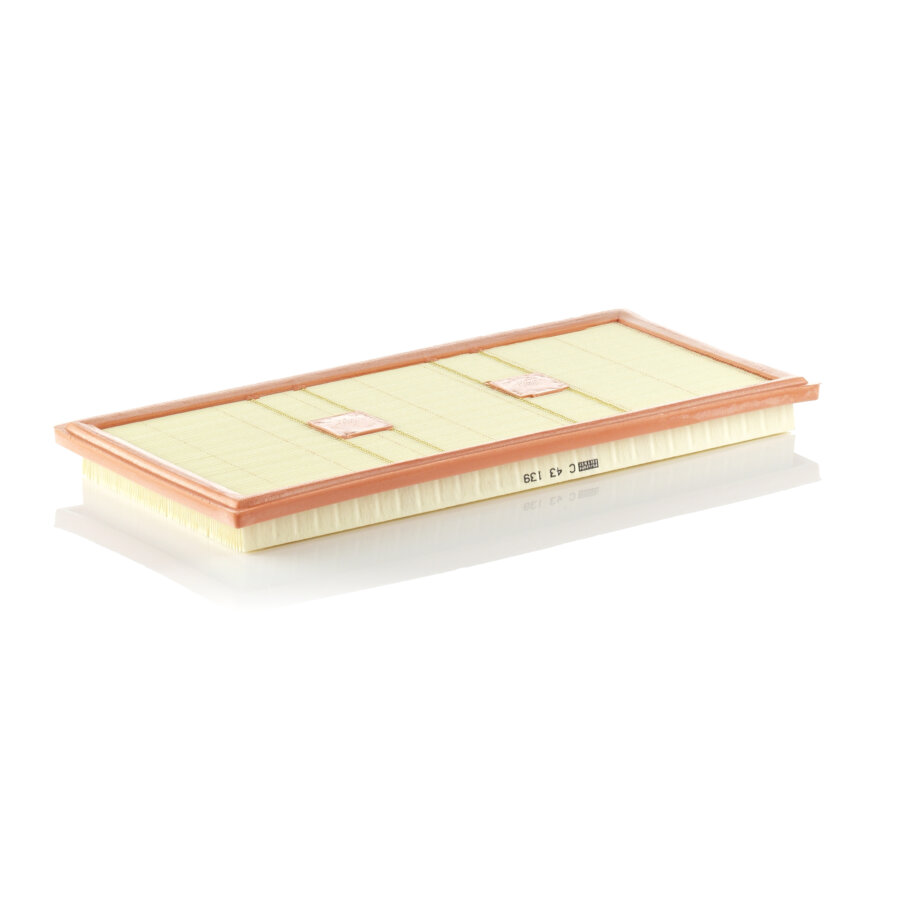 Filtro aria MANN C43139