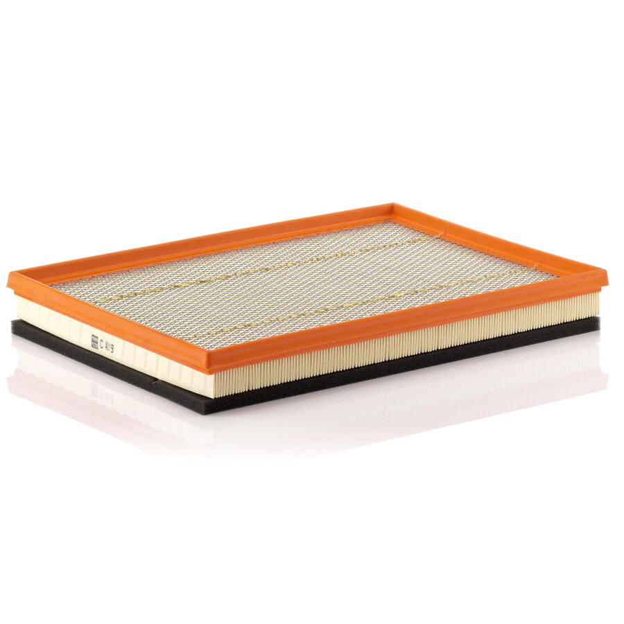 Filtro aria MANN C4019