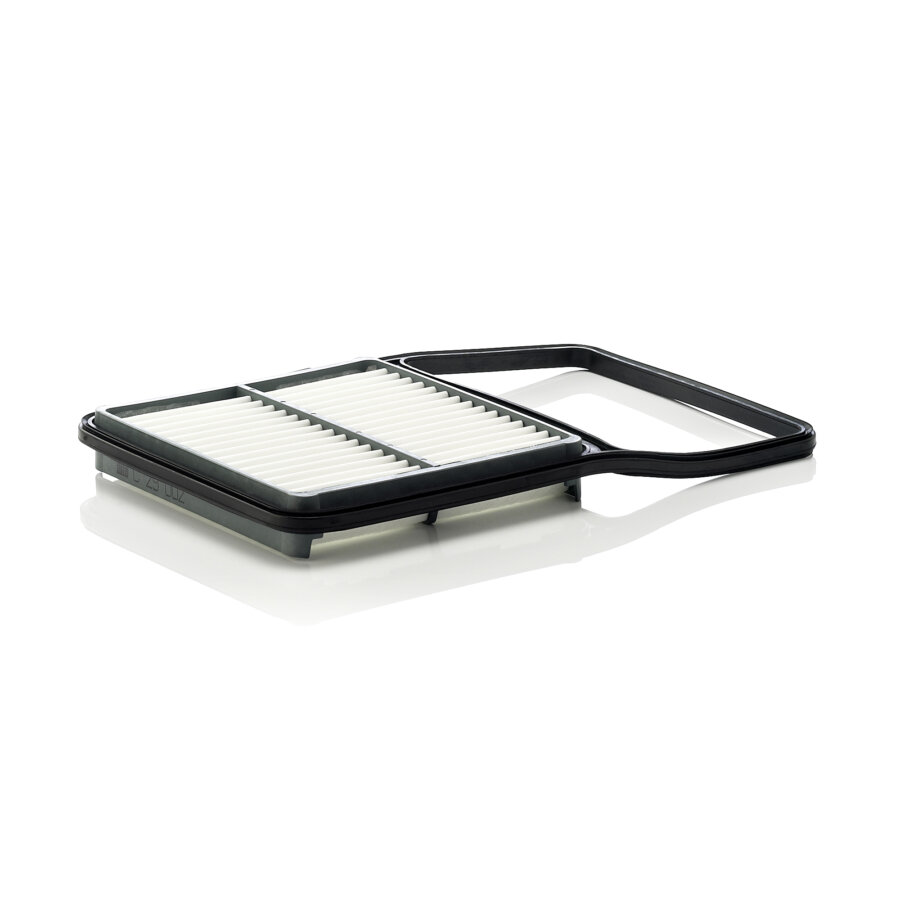 Filtro aria MANN C29002
