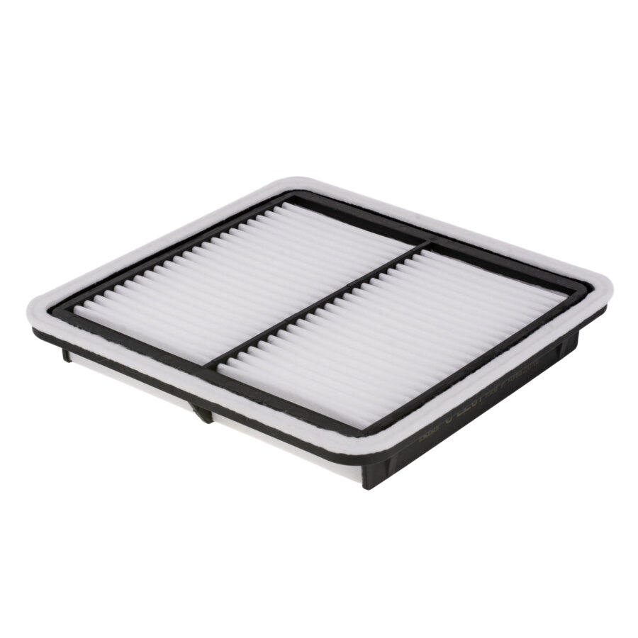 Filtro aria MANN C2201