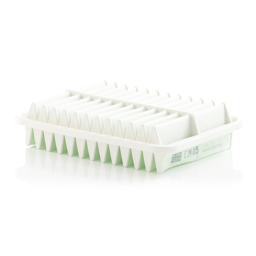 Filtro aria MANN C24005