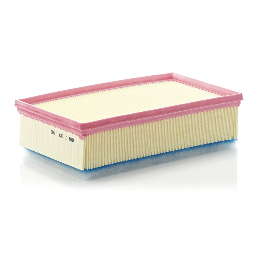 Filtro aria MANN C30190
