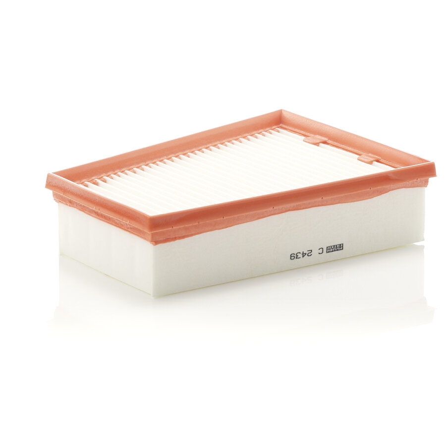 Filtro aria MANN C2439