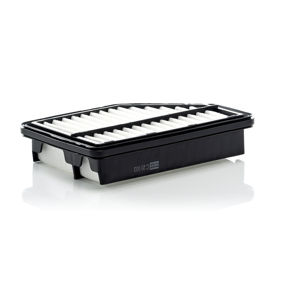 Filtro aria MANN C20003
