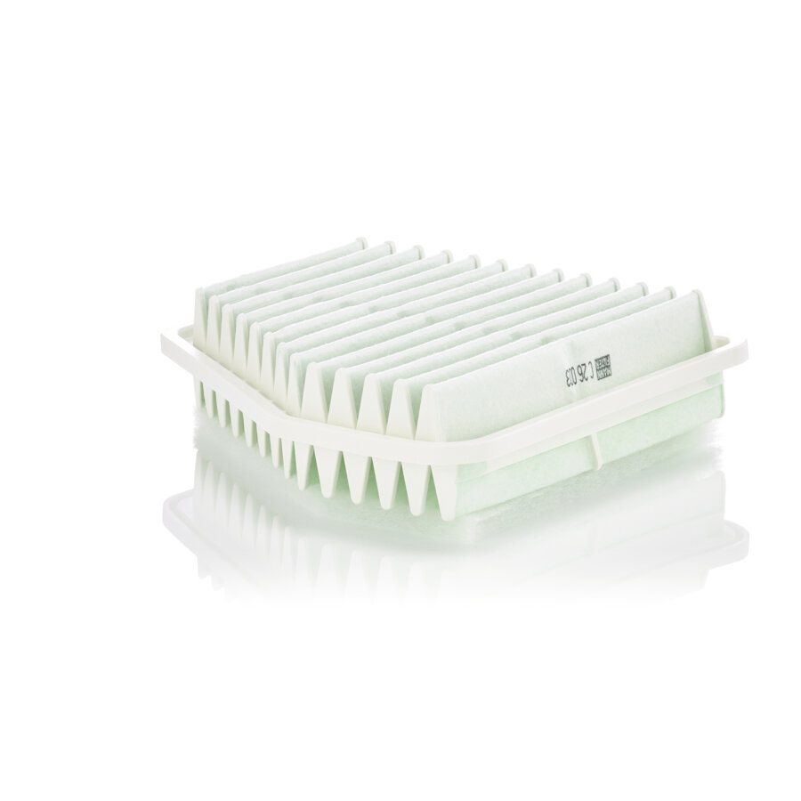 Filtro aria MANN C26003