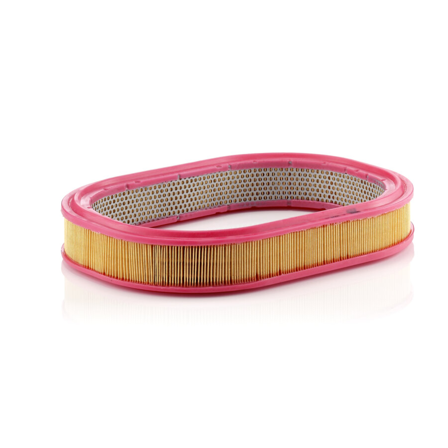 Filtro aria MANN C3975/1