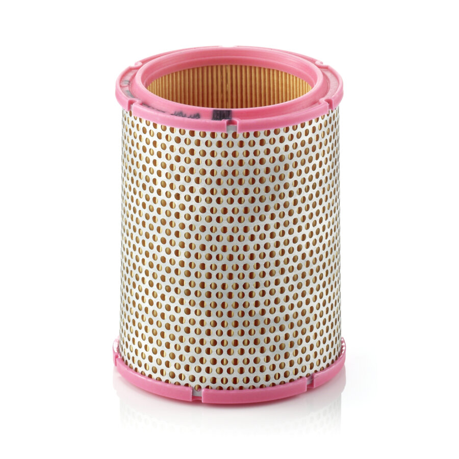 Filtro aria MANN C1440/1