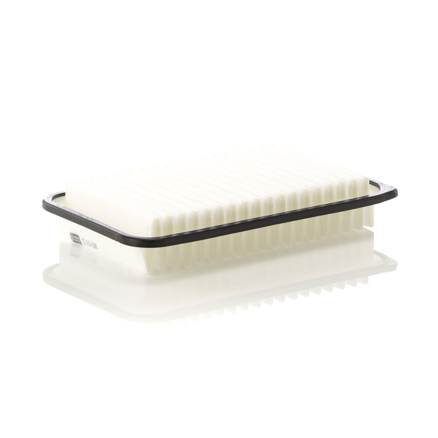 Filtro aria MANN C25006