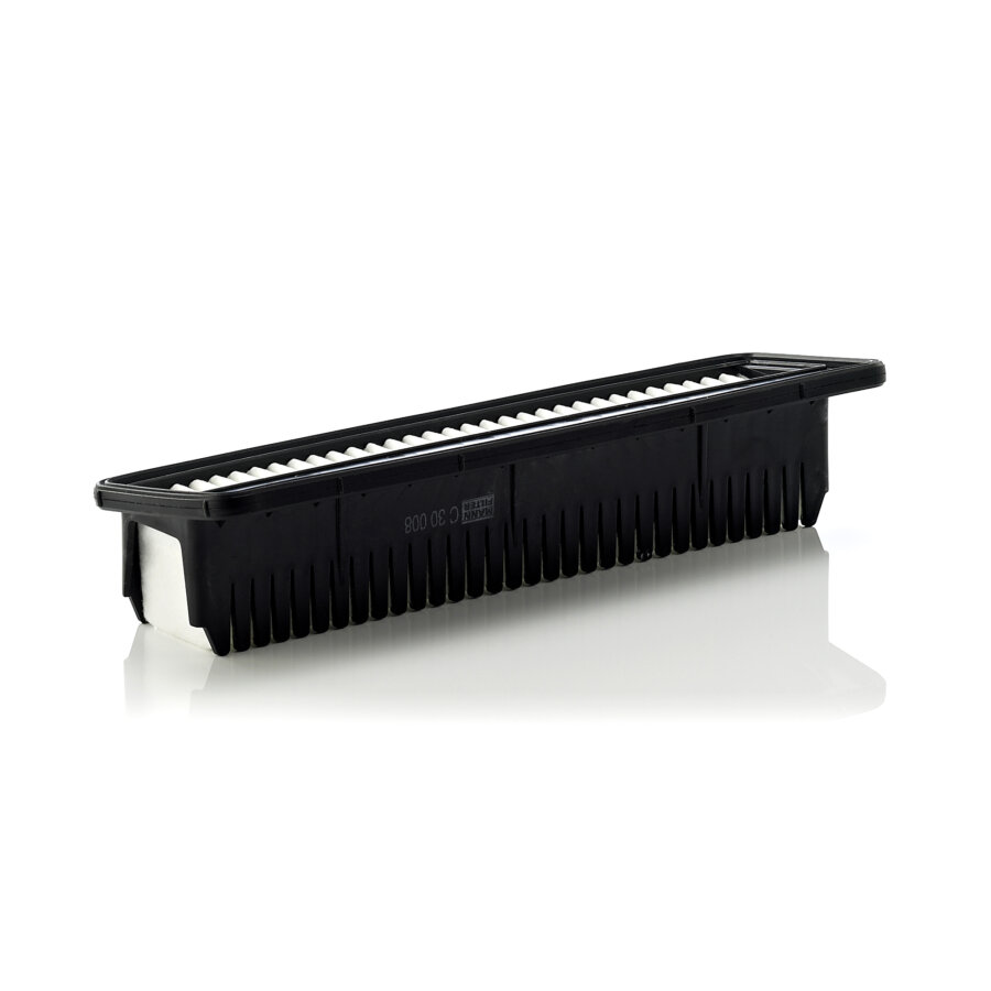 Filtro aria MANN C30008