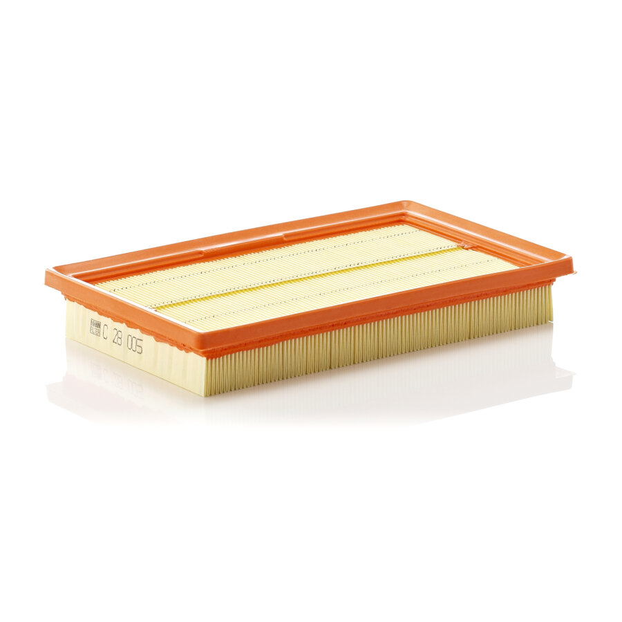 Filtro aria MANN C28005