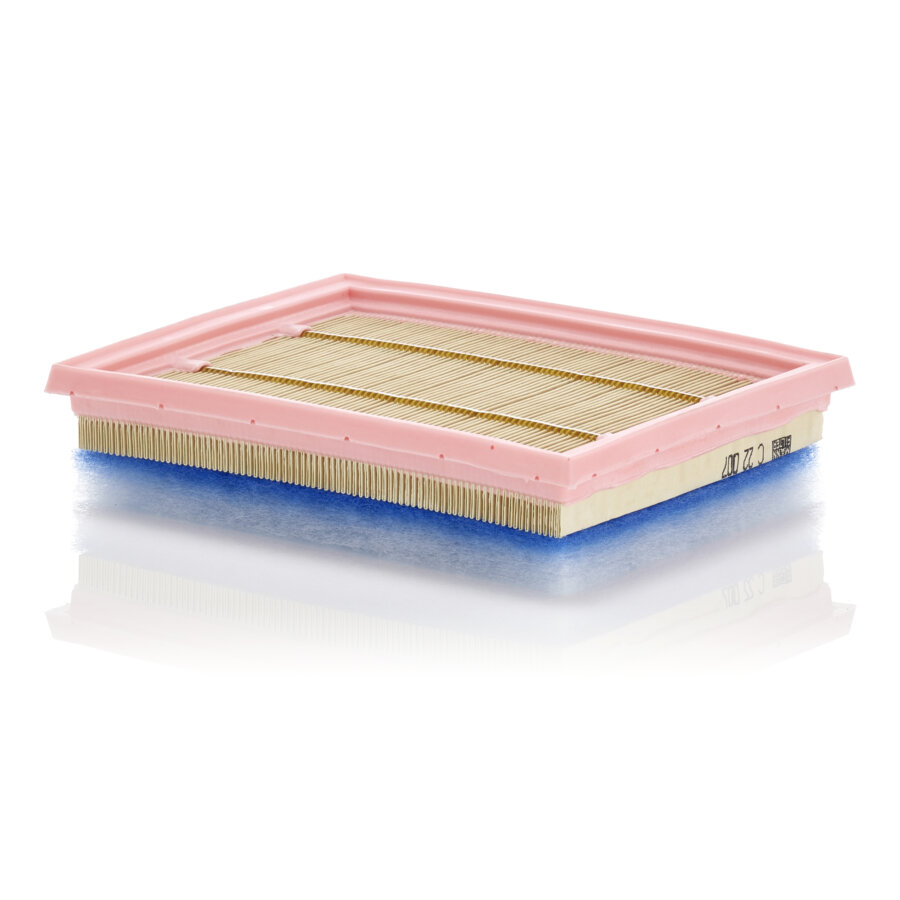 Filtro aria MANN C22007