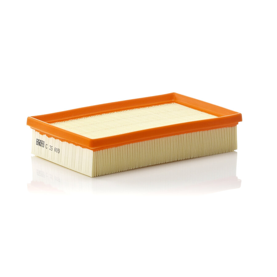 Filtro aria MANN C25009