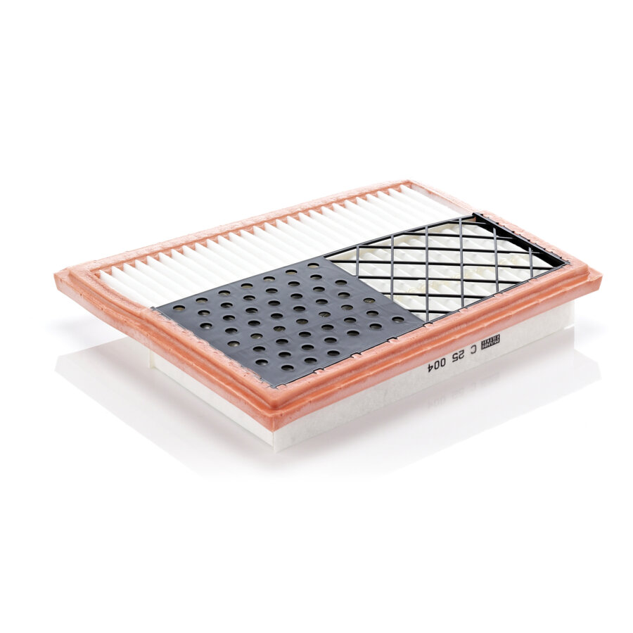 Filtro aria MANN C25004