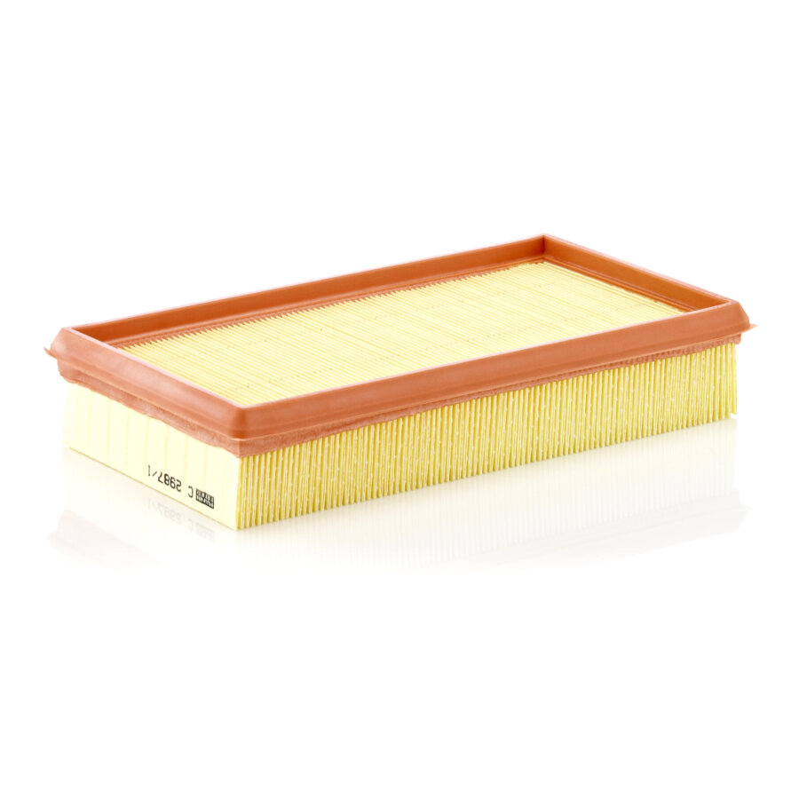 Filtro aria MANN C2987/1
