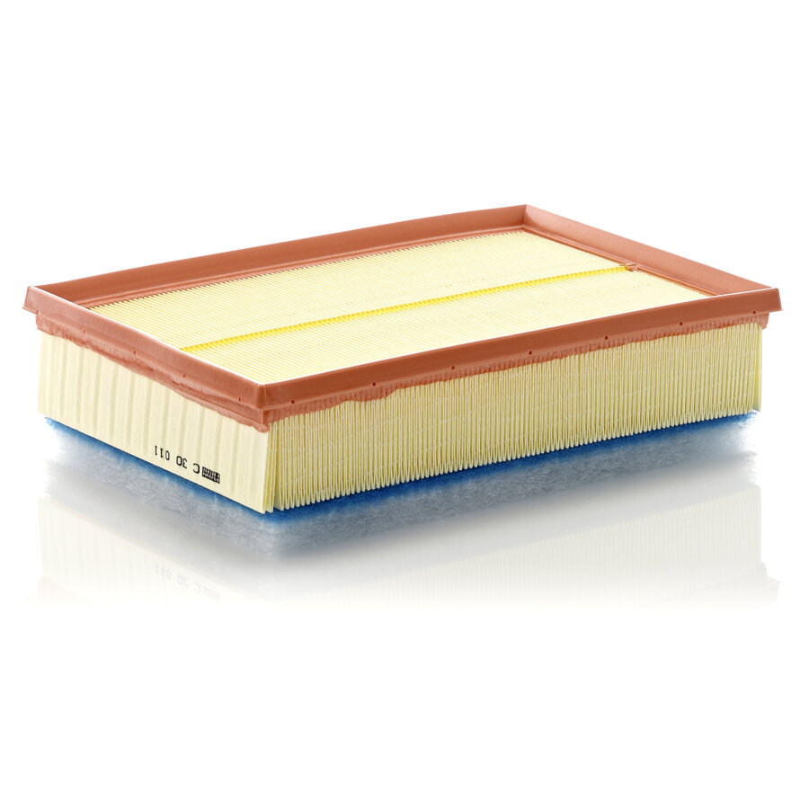 Filtro aria MANN C30011