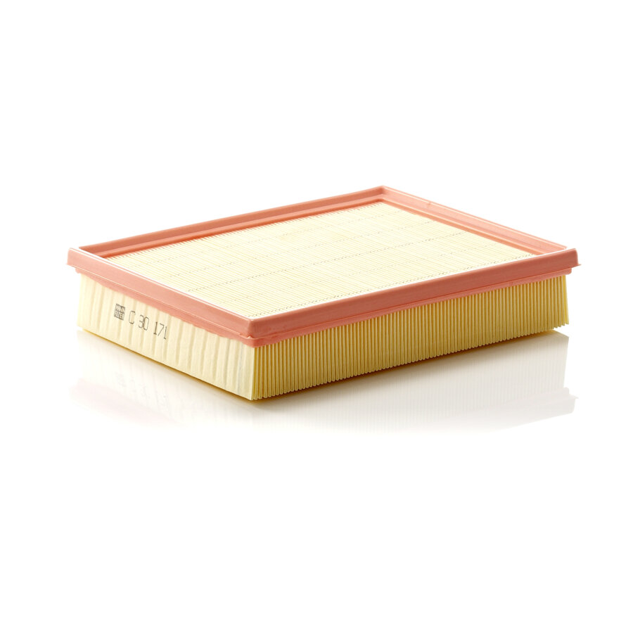 Filtro aria MANN C30171
