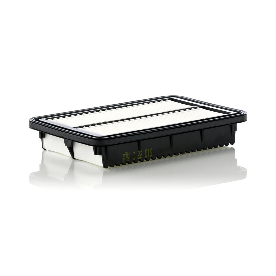 Filtro aria MANN C22015