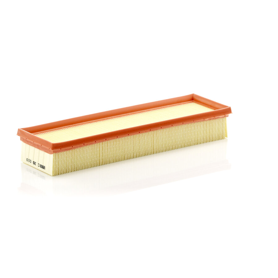Filtro aria MANN C36010