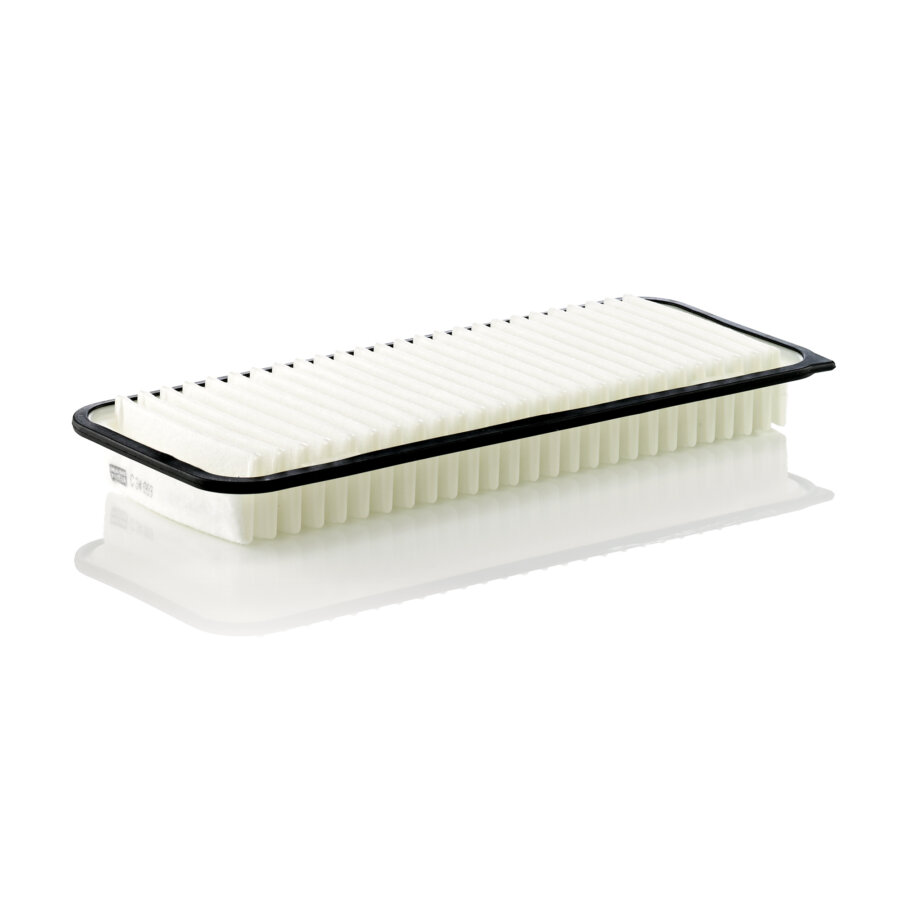 Filtro aria MANN C34003