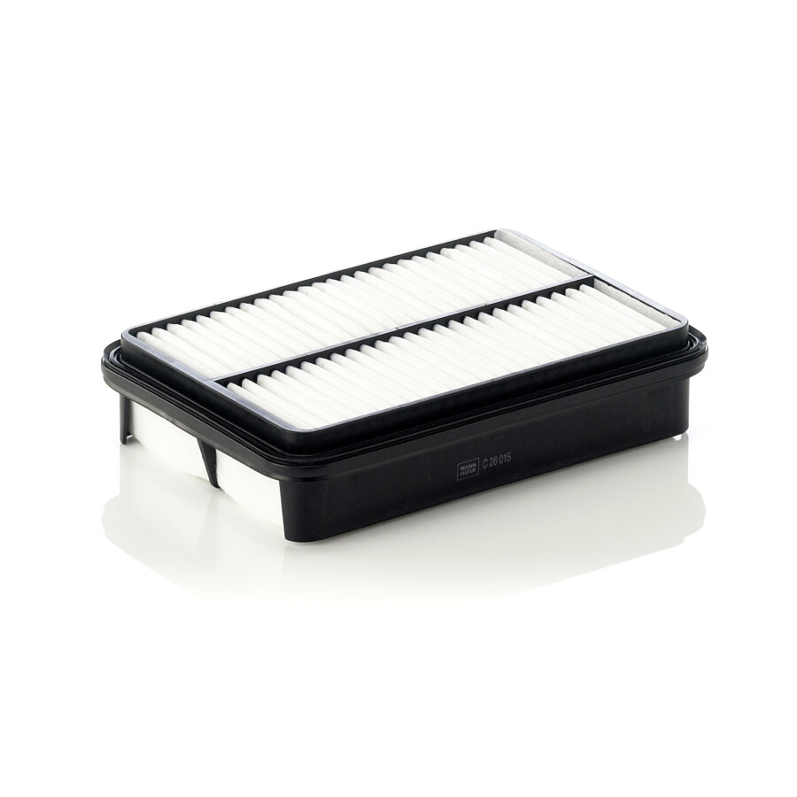Filtro aria MANN C26015