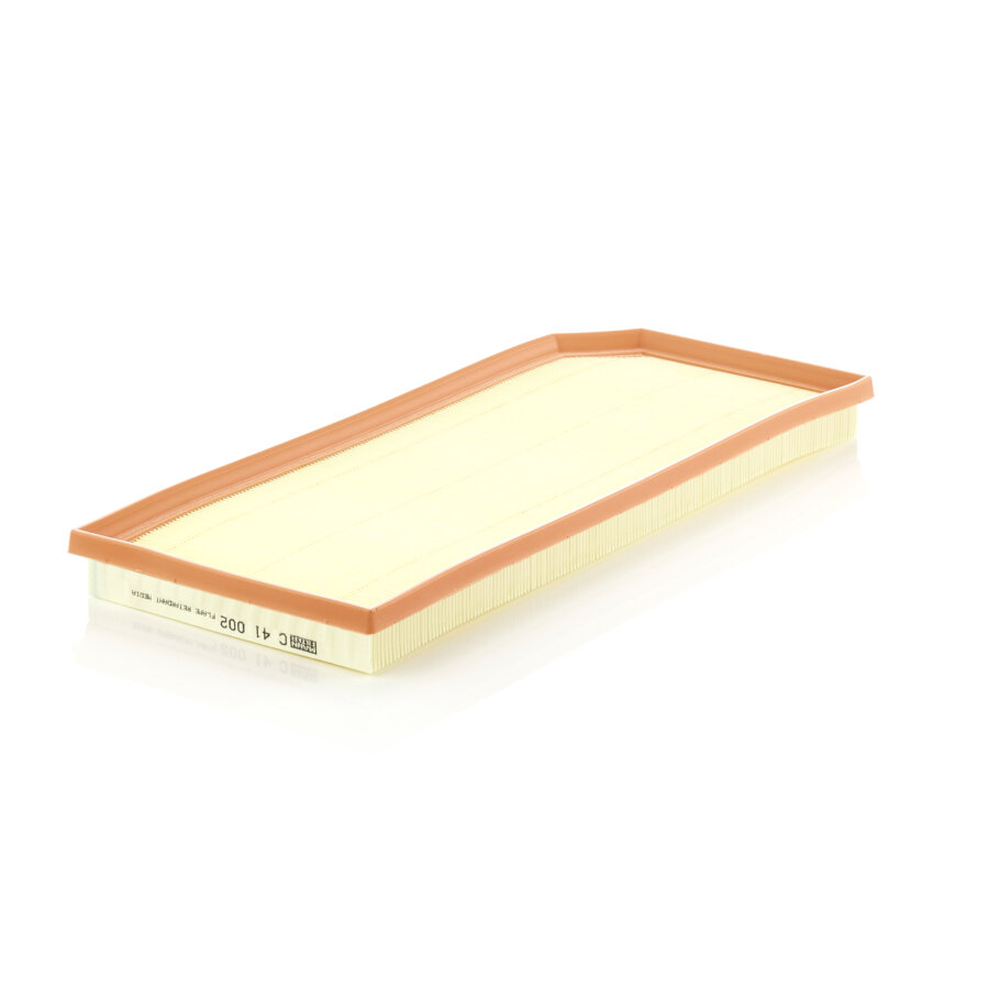 Filtro aria MANN C41002