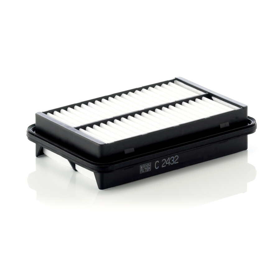 Filtro aria MANN C2432