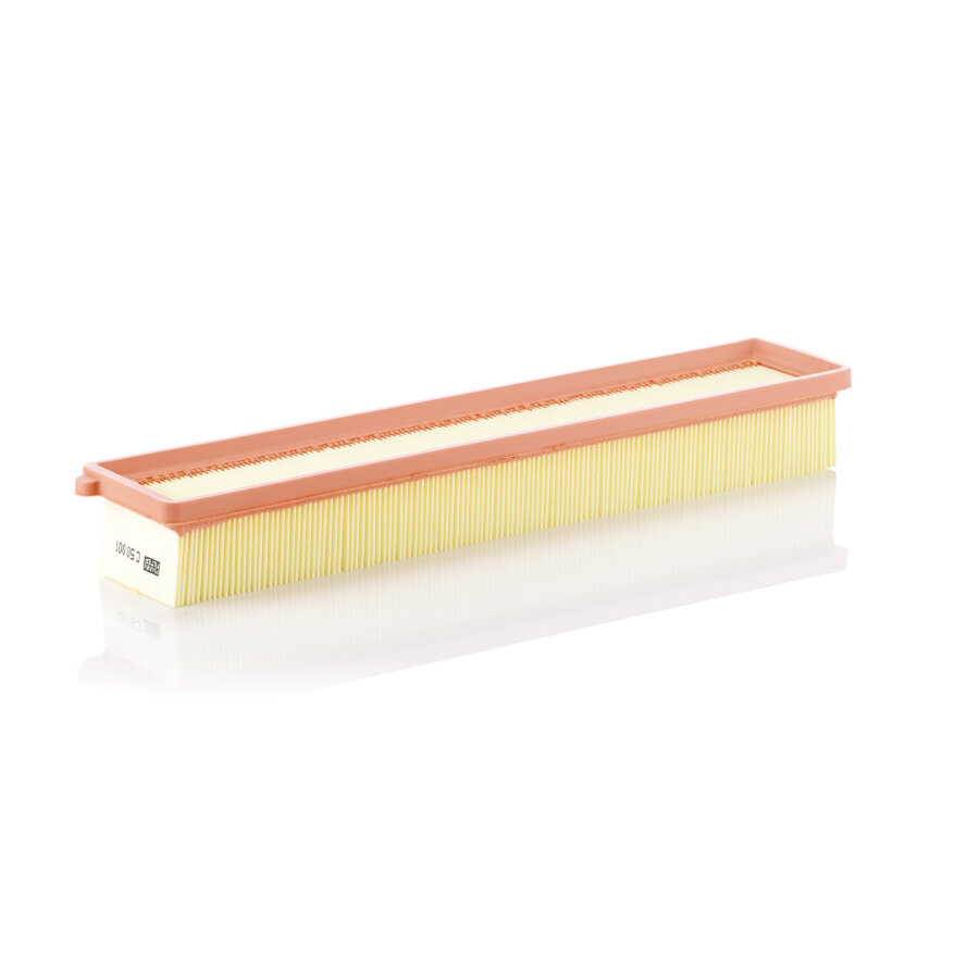 Filtro aria MANN C50001