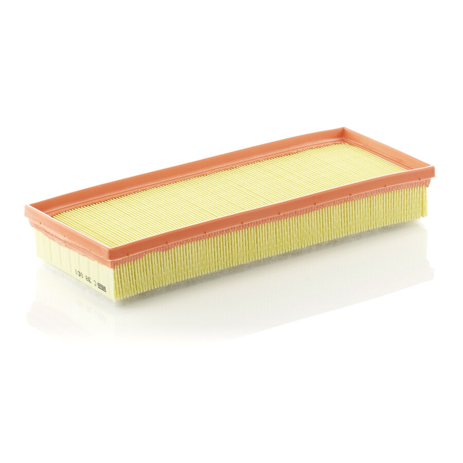 Filtro aria MANN C38001