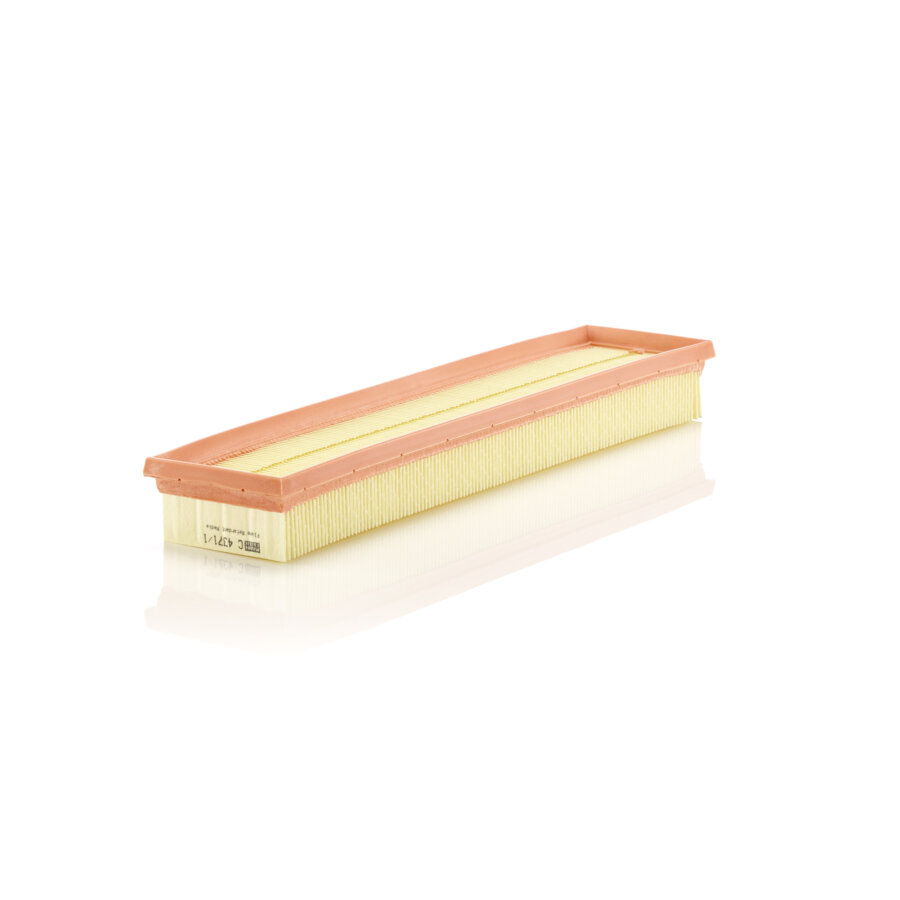 Filtro aria MANN C4371/1